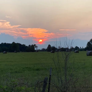 Meet your Posher, Annabelle